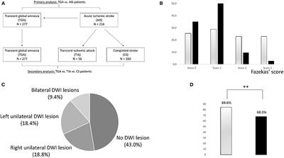 Transient Global Amnesia (TGA): Influence of Acute Hypertension in Patients Not Adapted to Chronic Hypertension